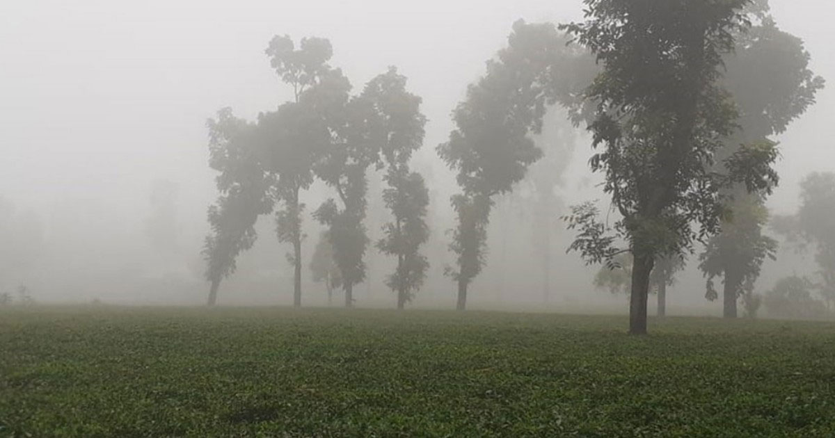 আশ্বিনের মাঝামাঝিতেই তেঁতুলিয়ায় শীতের আগমনী বার্তা