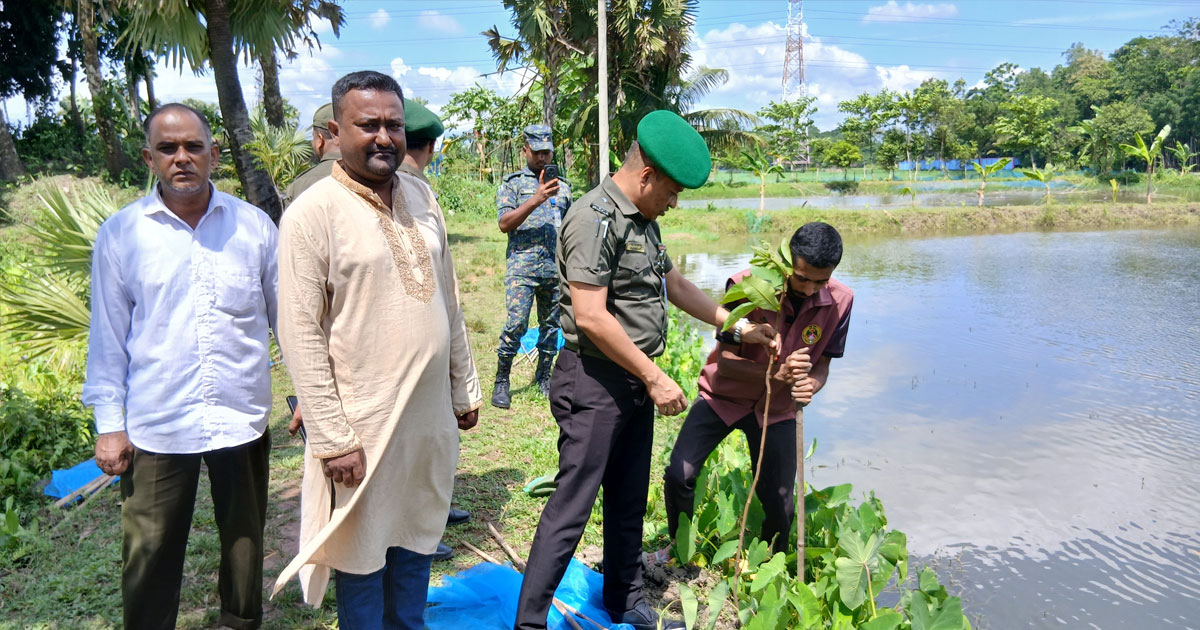 দাগনভূঞায় আনসার-ভিডিপি’র বৃক্ষরোপণ অভিযান