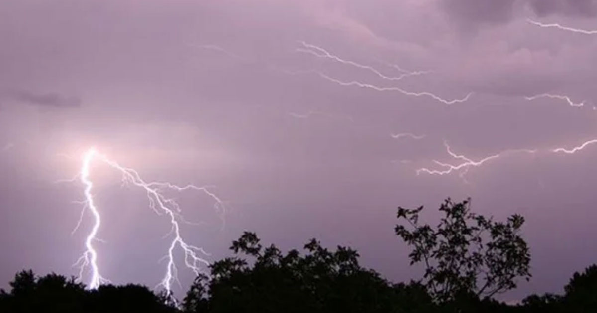 কাপাসিয়ায় বজ্রপাতে ২৫ শিক্ষার্থী আহত