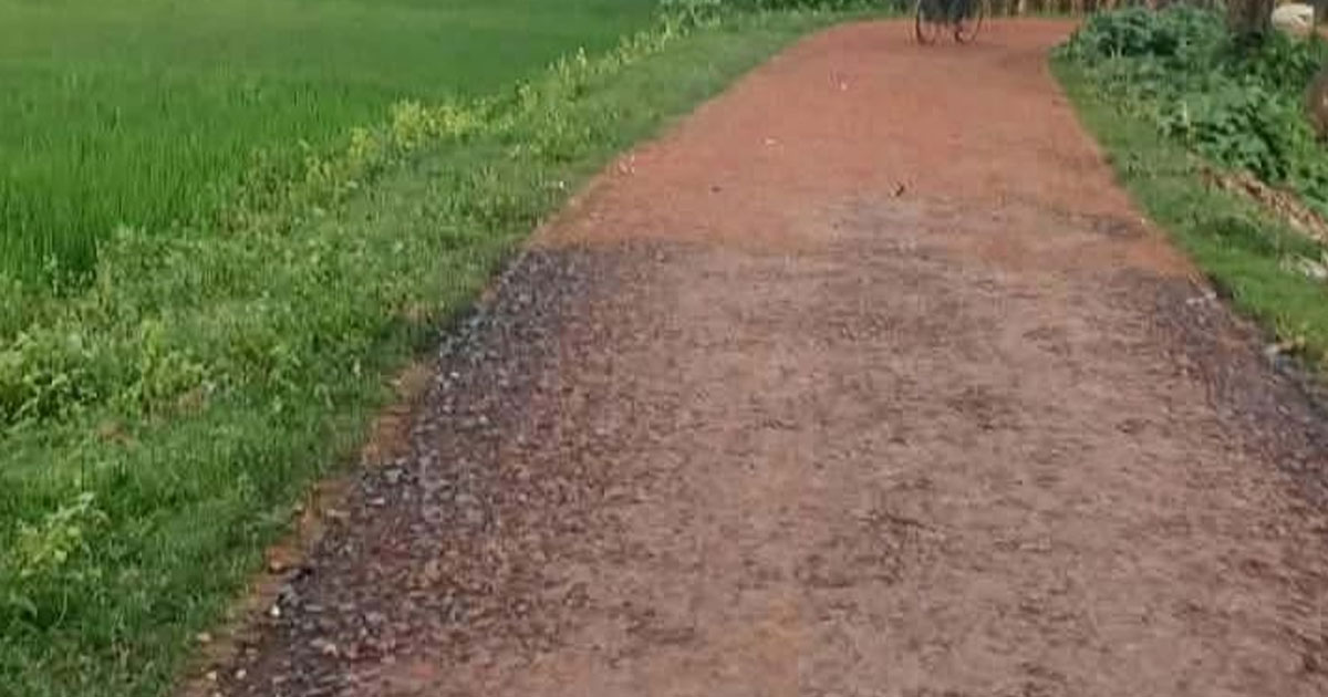 সুন্দরগঞ্জে কোটি টাকার সড়ক নির্মাণে অনিয়মের অভিযোগ, অভিযোগকারীকে হুমকি