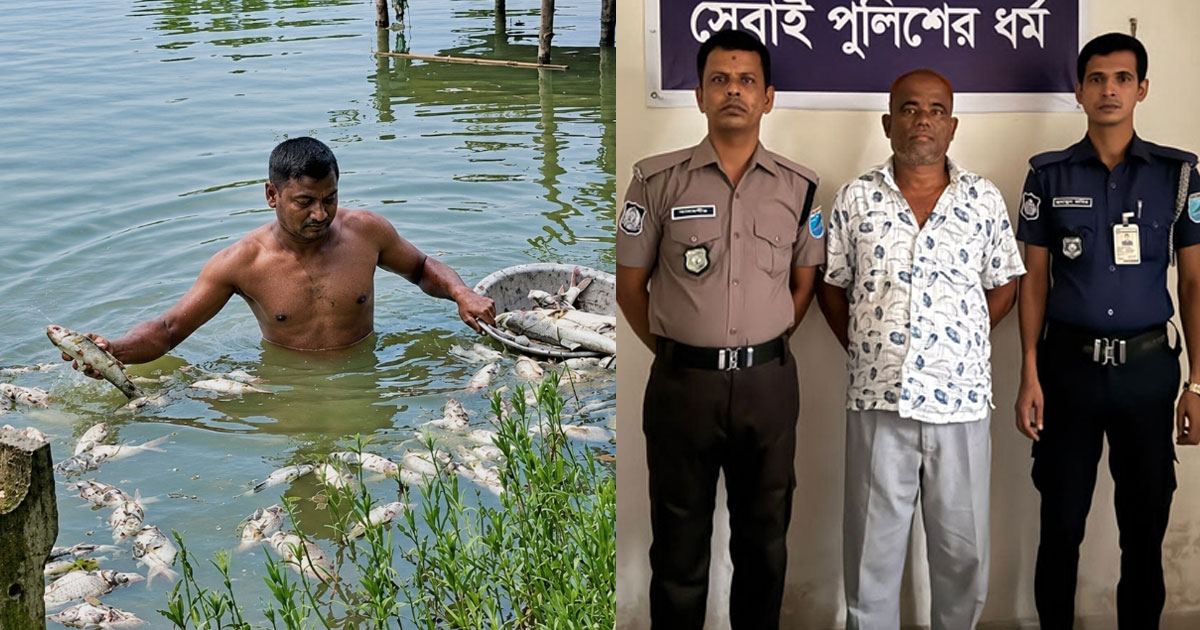 চাঁদা না পেয়ে বিষ দিয়ে মাছ মারলেন বিএনপি নেতা