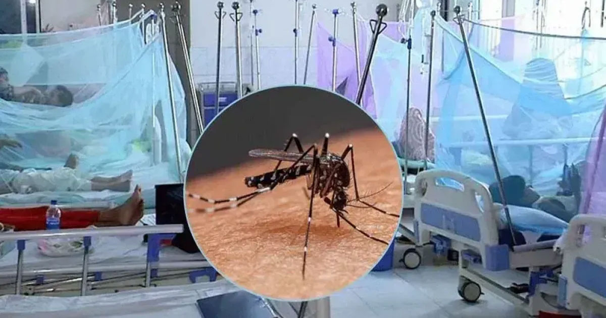 ডেঙ্গুতে আরও ৫ জনের মৃত্যু, হাসপাতালে ভর্তি ২২১৮