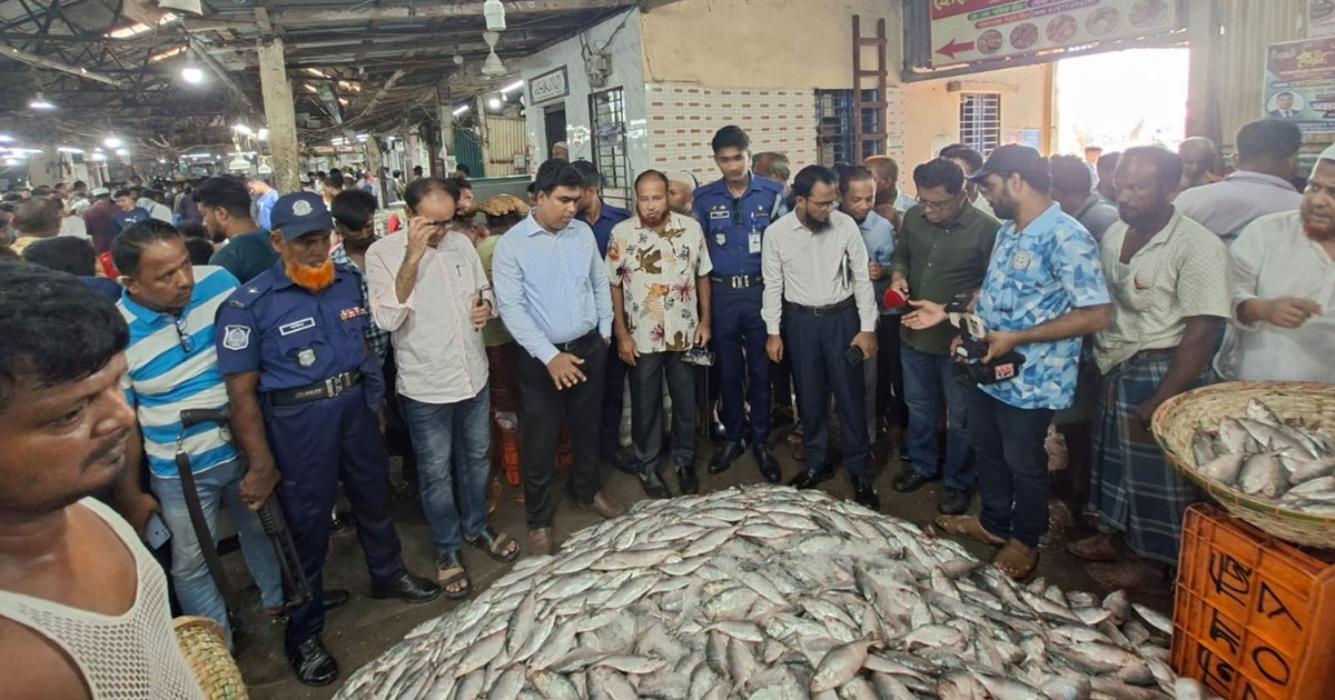 চাঁদপুর পচা ইলিশ বিক্রির দায়ে ব্যবসায়ীকে জরিমানা