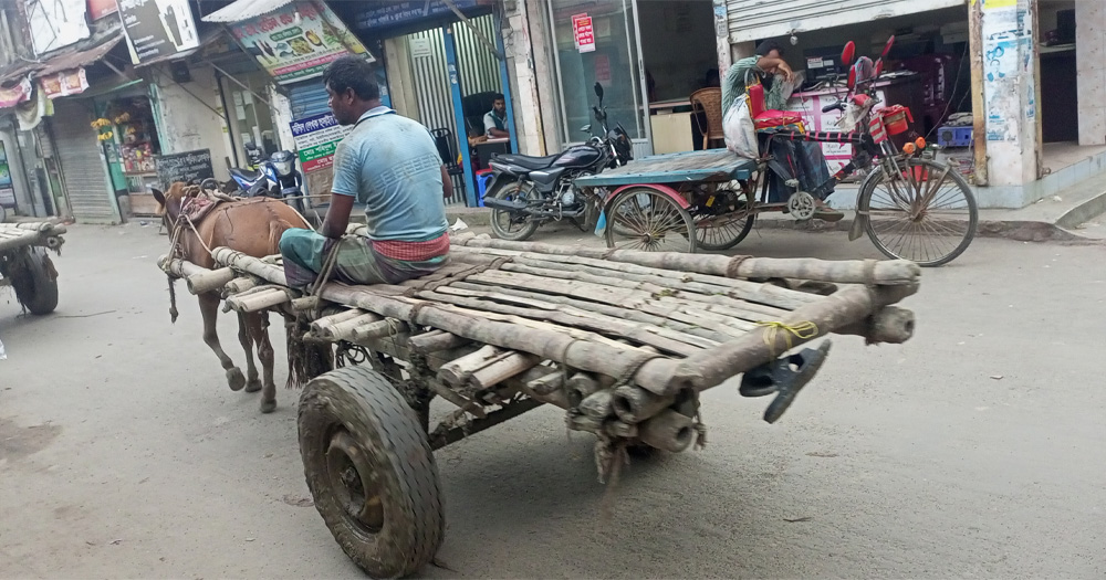 সময়ের পরিক্রমায় হারিয়ে যেতে বসেছে ঐতিহ্যবাহী গরুর গাড়ি