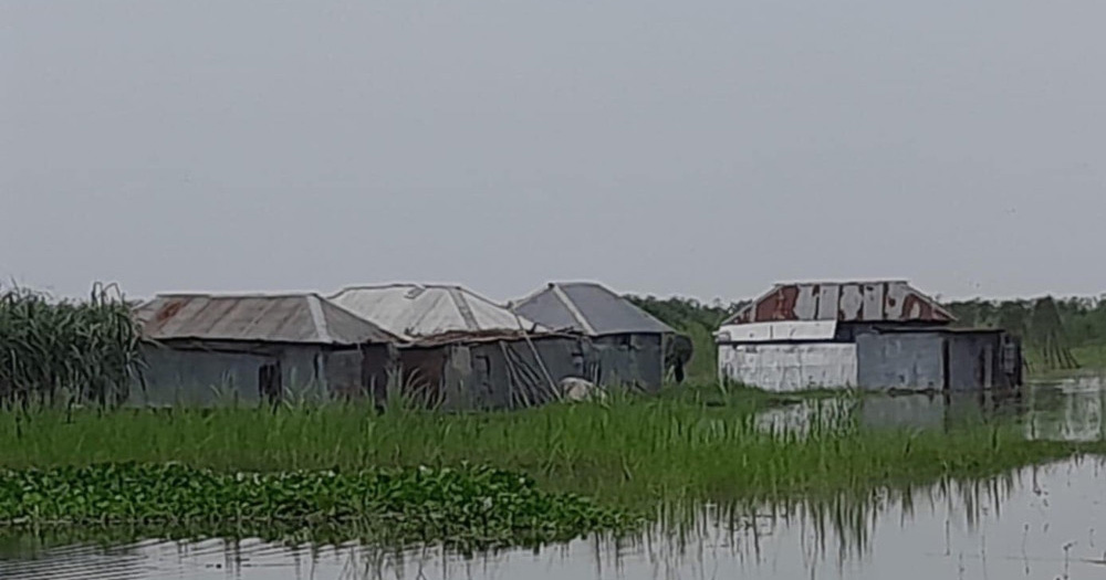 পদ্মার পানি বাড়ায় দৌলতপুরে প্রায় ৪০ হাজার মানুষ পানিবন্দী