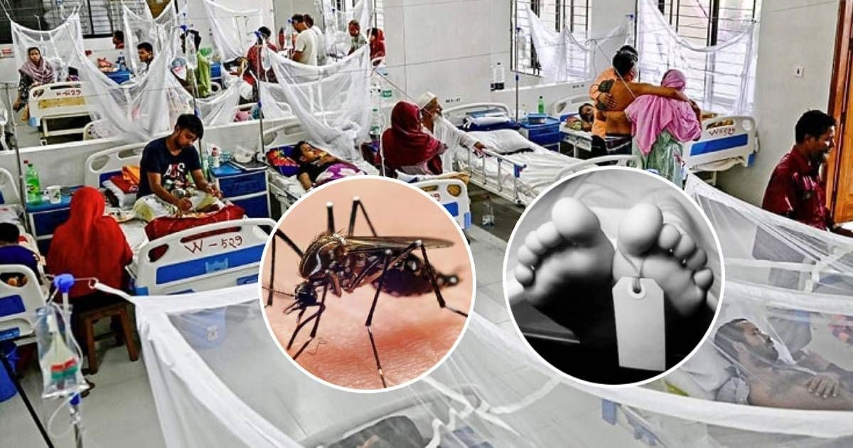 বরগুনায় গেল ২৪ ঘণ্টায় ডেঙ্গুতে ৪ জনের মৃত্যু