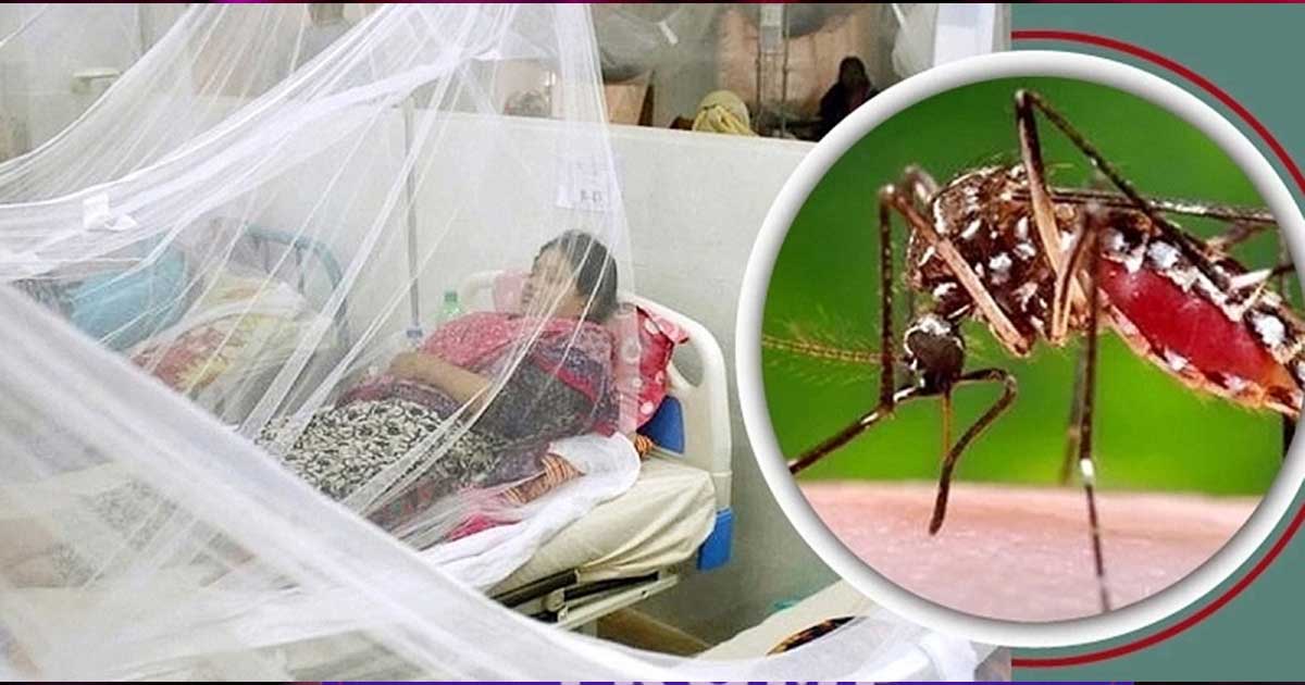 ডেঙ্গুতে আরও পাঁচ জনের মৃত্যু