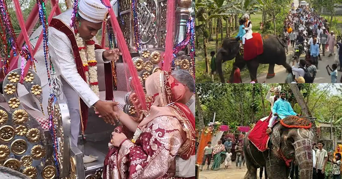 হাতির পিঠে বর, ঘোড়ার গাড়িতে কনে—ব্যতিক্রমী বিয়ে