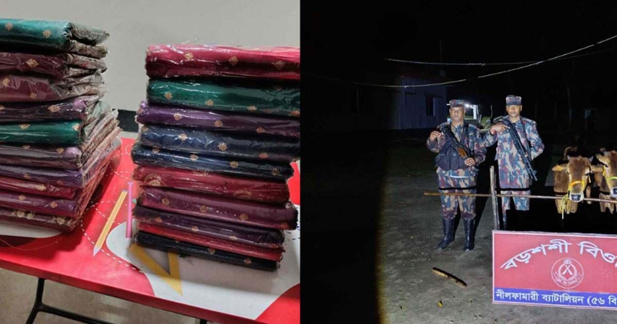 পঞ্চগড় সীমান্তে বিপুল পরিমাণ শাড়ি ও গরু জব্দ