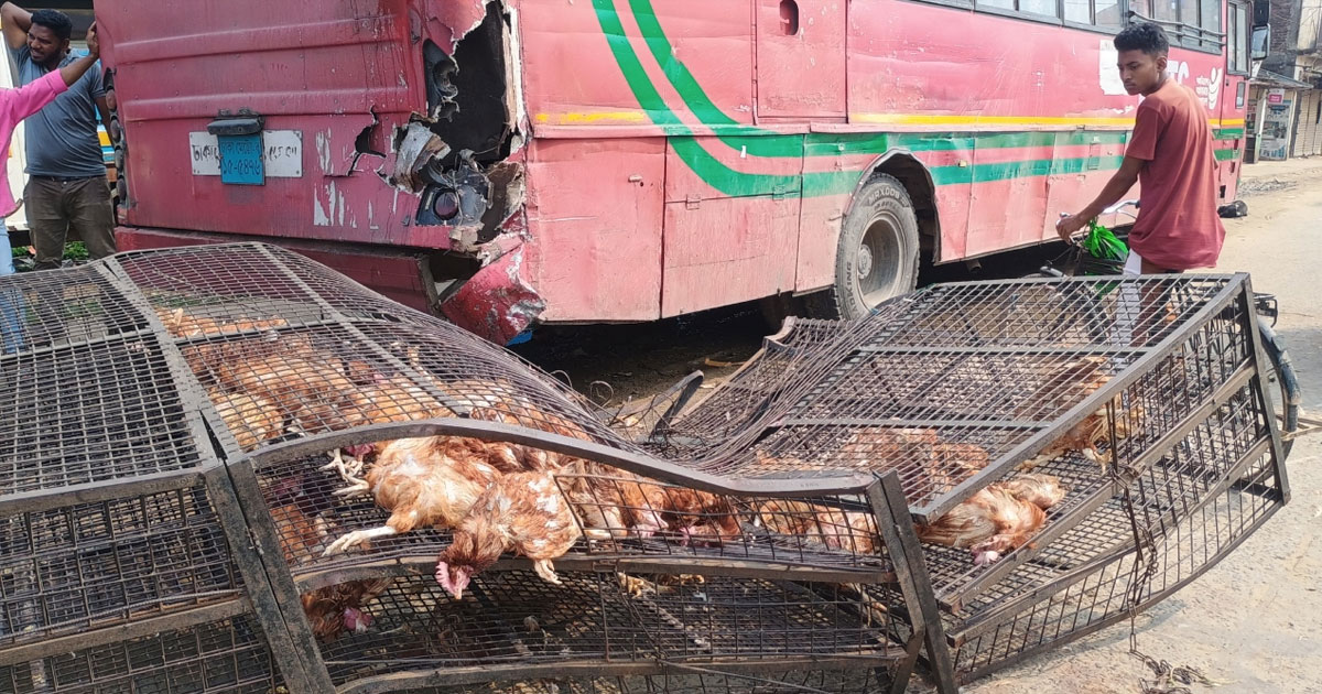 ট্রাক-বাস সংঘর্ষে ৩৫০ মুরগির মৃত্যু
