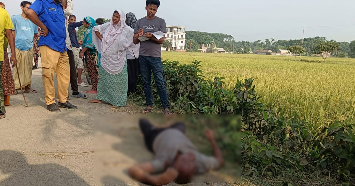 বেনাপোলে ধানক্ষেত থেকে মরদেহ উদ্ধার