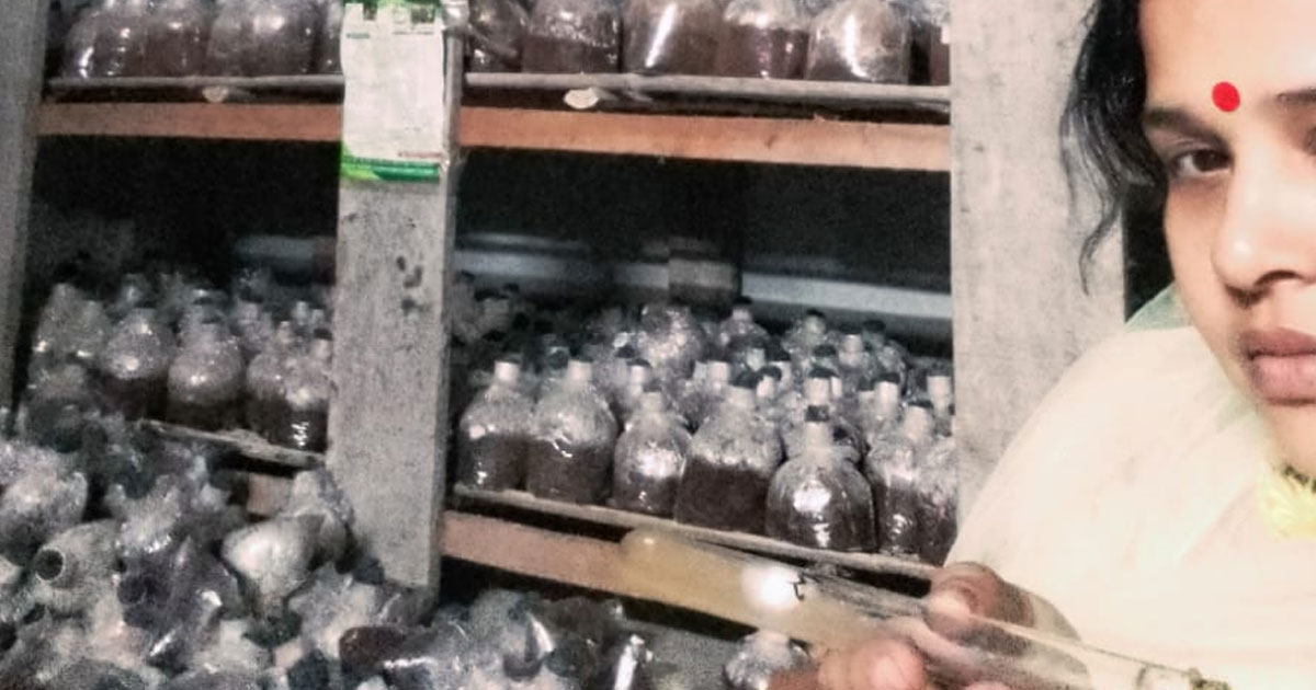 মাশরুম চাষে স্বাবলম্বী অভয়নগরের নিপা রানী