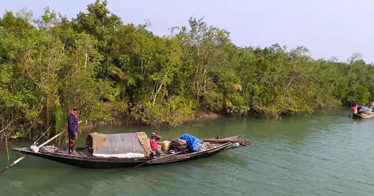 বনদস্যুদের মুক্তিপণ দিয়ে ছাড়া পেলেন ৬ জেলে