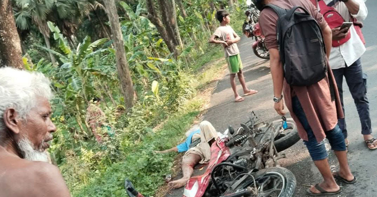মোল্লাহাটে মর্মান্তিক সড়ক দুর্ঘটনা: নিহত ১, আহত-২