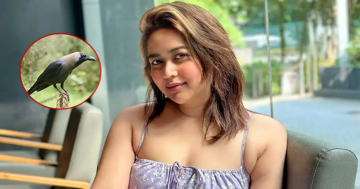 প্রথম দেখাতেই কাকের প্রেমে পড়েছি: ভাবনা