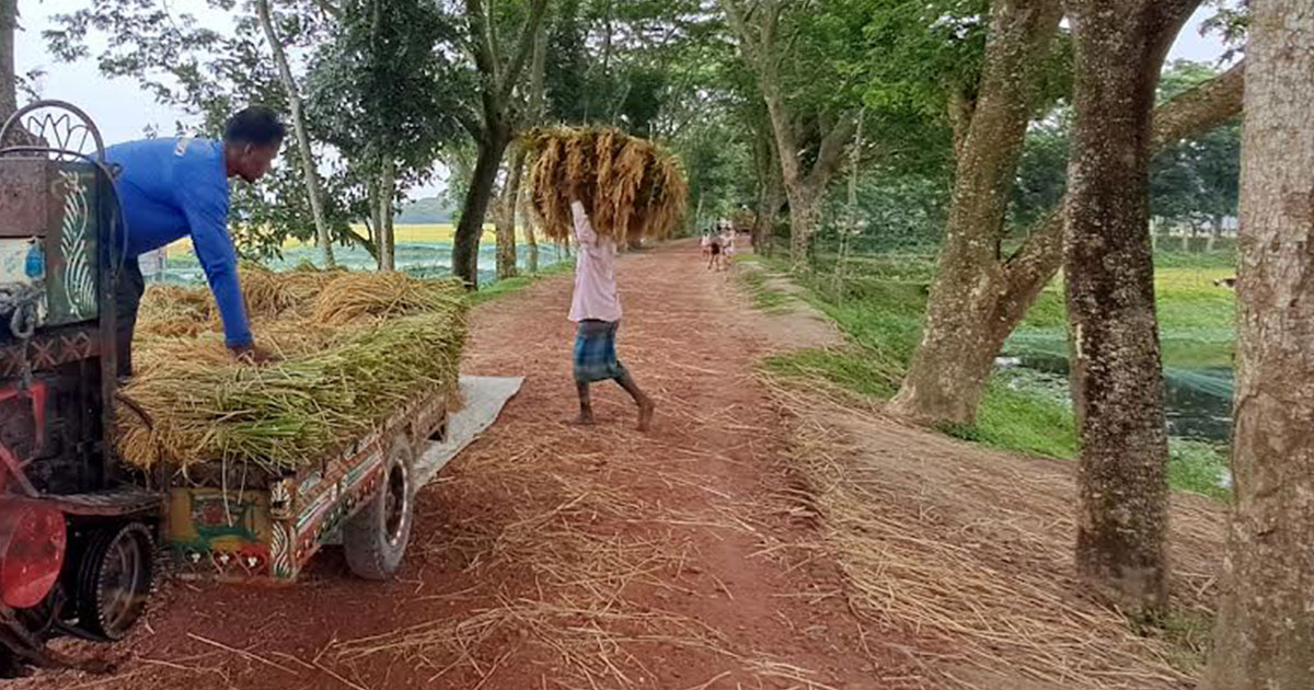 সড়কের নির্মাণ কাজ রেখে লাপাত্তা ঠিকাদার
