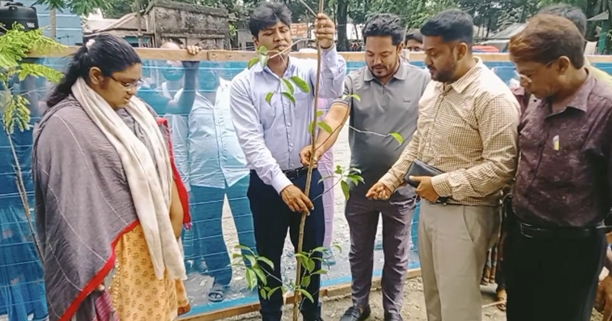 বৃক্ষরোপণের মাধ্যমে সবুজ বাংলাদেশ গড়তে হবে: ইউএনও