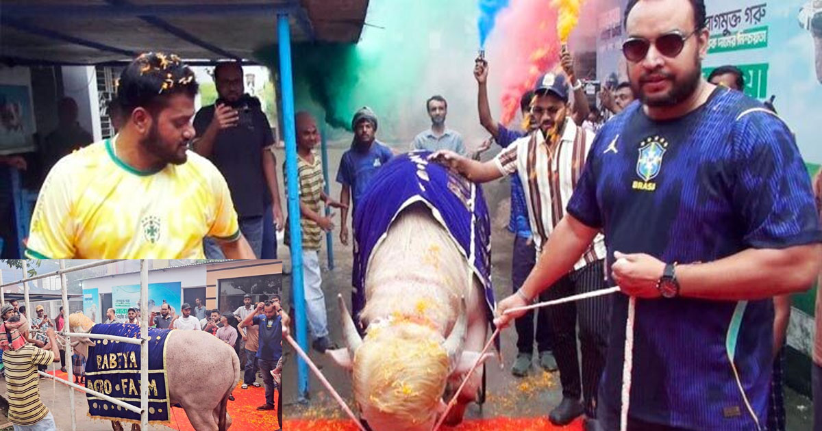 লাল গালিচায় রাজসিক বিদায় ‘ডোনাল্ড ট্রাম্প’ কে