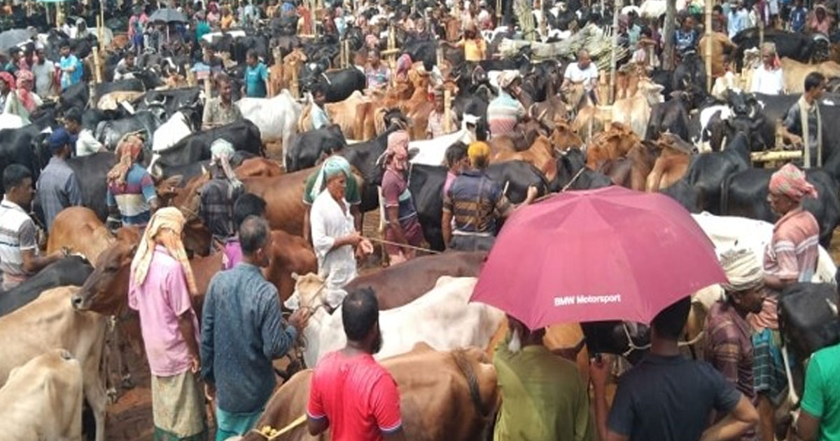 বাগআঁচড়ায় শেষ মুহূর্তে সাতমাইল পশুহাটে বেচাকেনা বেড়েছে