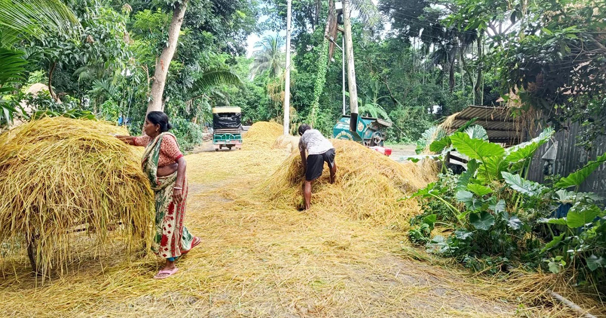 কালাইয়ে সড়কে ধান মাড়াই ও খড় শুকানোর দায়ে ৩ জনকে জরিমানা