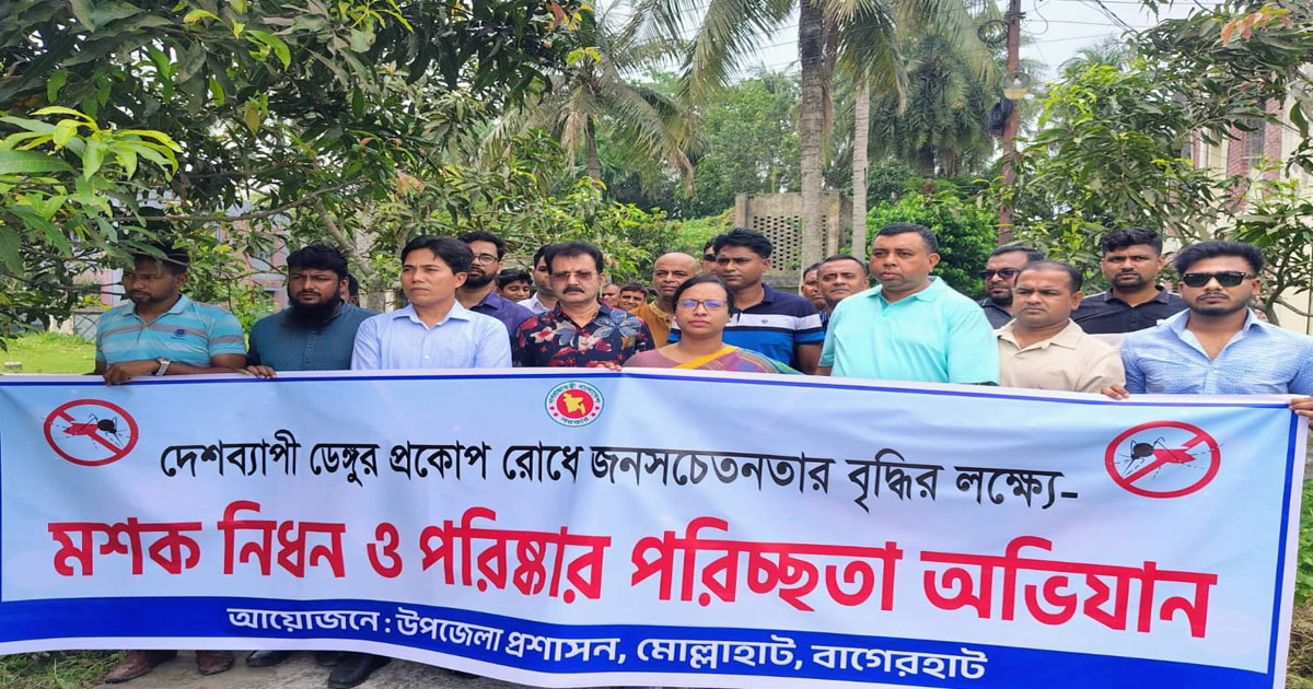 মোল্লাহাটে ডেঙ্গু প্রতিরোধে মশক নিধন ও পরিচ্ছন্নতা অভিযান