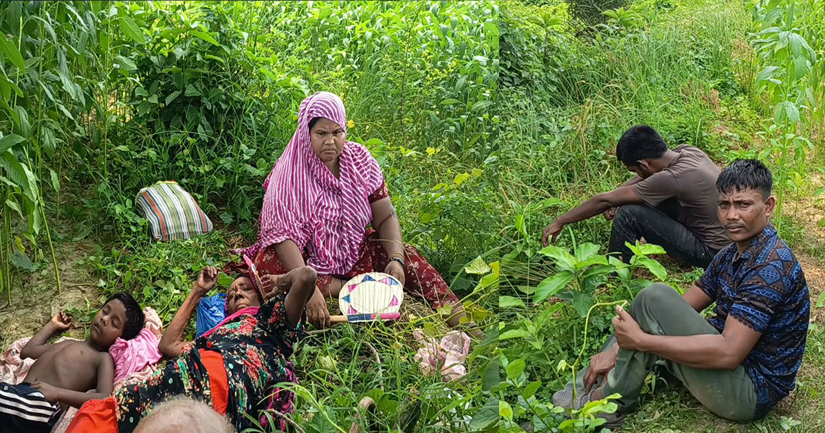 গাংনী সীমান্তে পুশইনে ব্যর্থ হয়ে শিশুসহ ৬ জনকে ফিরিয়ে নিয়েছে বিএসএফ